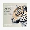封面 Coffee Face & Sevenever - My Way Coffee Face & Sevenever - My Way