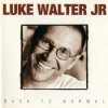 封面 Luke Walter Jr - As The Crow Flies Luke Walter Jr - As The Crow Flies