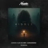 封面 D.HASH & ILYA SECHKIN & BORDERMIND - The Riddle D.HASH & ILYA SECHKIN & BORDERMIND - The Riddle