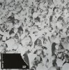 Solomun feat. Isolation Berlin - Kreatur Der Nacht (Maceo Plex Remix)