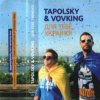 封面 Tapolsky & VovKING feat. Olya - Get In To My Skype Tapolsky & VovKING feat. Olya - Get In To My Skype