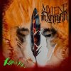 Mylène Farmer - L'Âme Dans L'Eau (Remixé Par The Avener) [Rework]