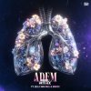 封面 Mark With A K feat. Jelle van Dael & Madoc - Adem Mark With A K feat. Jelle van Dael & Madoc - Adem