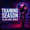 封面 Dua Lipa - Training Season (Eliza May Remix) Dua Lipa - Training Season (Eliza May Remix)