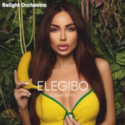 封面 Relight Orchestra - Elegibo (Dj Dark Remix)