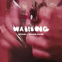 封面 NOTION & Willow Kayne - WAITING