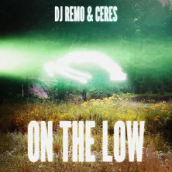 封面 Dj Remo & CERES - On The Low