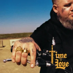 封面 Rag'n'Bone Man - Time to Love