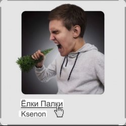 Обкладинка Ksenon - Ёлки-палки
