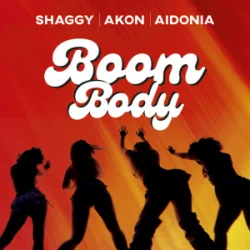 封面 Shaggy & Akon & Aidonia - Boom Body