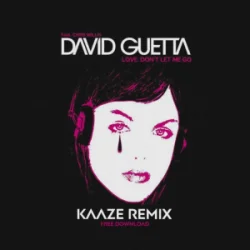 封面 David Guetta & Chris Willis - Love Don't Let Me Go (KAAZE Remix)