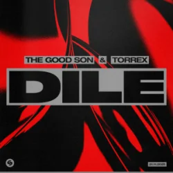 封面 The Good Son & TORREX - Dile