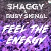 Shaggy & Busy Signal - Feel The Energy