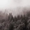封面 Y.K. Music - У Тумані Y.K. Music - У Тумані