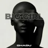 封面 SHADU - Boom Boom SHADU - Boom Boom