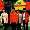 封面 The Beatles - Strawberry Fields Forever The Beatles - Strawberry Fields Forever