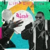 封面 Flipperachi - FA9LA Flipperachi - FA9LA