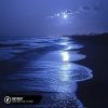 Alosa, Booty Leak, Elle Blue - One Night