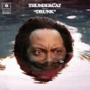 封面 Thundercat - Friend Zone Thundercat - Friend Zone