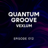 封面 Vexlum - Quantum Groove 012 Vexlum - Quantum Groove 012