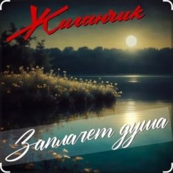 Обкладинка Жиганчик - Заплачет душа