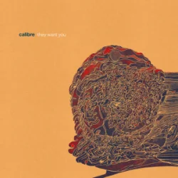 封面 Calibre - dim light