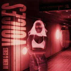 封面 Dj Remo & CERES - Voices