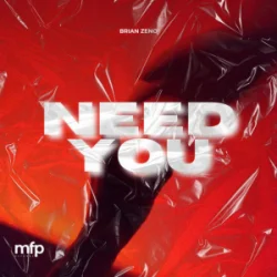 封面 Brian Zeno - Need You