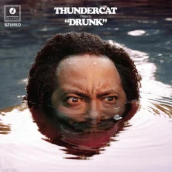 封面 Thundercat - Friend Zone