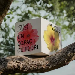封面 Stefan Hrusca - Un copac cu flori (Mentol Remix)