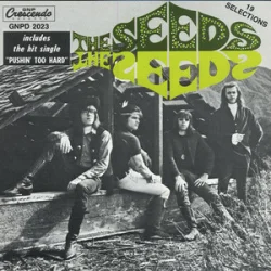 封面 The Seeds - Can't Seem To Make You Mine