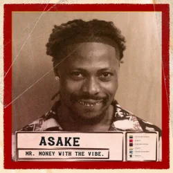 封面 Asake - Dull