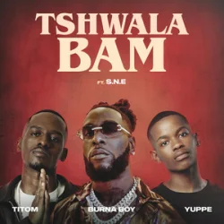 封面 TitoM & Yuppe - Tshwala Bam [feat. S.N.E]