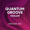 封面 Vexlum - Quantum Groove 013 Vexlum - Quantum Groove 013