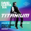 David Guetta & Sia - Titanium (MORTEN Future Rave Remix)