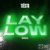 封面 Tiesto - Lay Low (Arem Ozguc & Arman Aydin Remix) Tiesto - Lay Low (Arem Ozguc & Arman Aydin Remix)