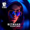 封面 Bitwake - Flight 3033 Bitwake - Flight 3033
