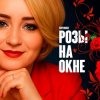 封面 SEVENROSE - Розы на окне SEVENROSE - Розы на окне