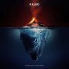 封面 Kaleo - Skinny Kaleo - Skinny