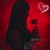封面 Amir Nazari - Love Alone Is The True Amir Nazari - Love Alone Is The True
