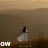 封面 The Shadow - The lesson of love The Shadow - The lesson of love