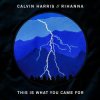 封面 Calvin Harris feat. Rihanna - This Is What You Came For Calvin Harris feat. Rihanna - This Is What You Came For