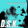 封面 DSK - What Would We Do (Original Mix) DSK - What Would We Do (Original Mix)