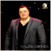 封面 Valeriu Cornea - Cinci chiperi Valeriu Cornea - Cinci chiperi