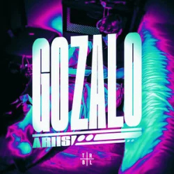 封面 Ariis - GOZALO (Ultra Slowed)