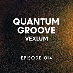 封面 Vexlum - Quantum Groove 014
