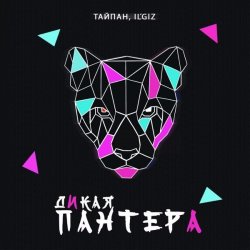 封面 Тайпан feat. IL'GIZ - Дикая Пантера