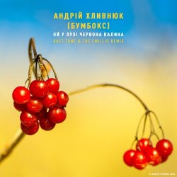 封面 Бумбокс - Ой У Лузі Червона Калина