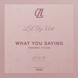 封面 Lil Uzi Vert - What You Saying