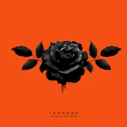 封面 kavabanga Depo kolibri - Троянди